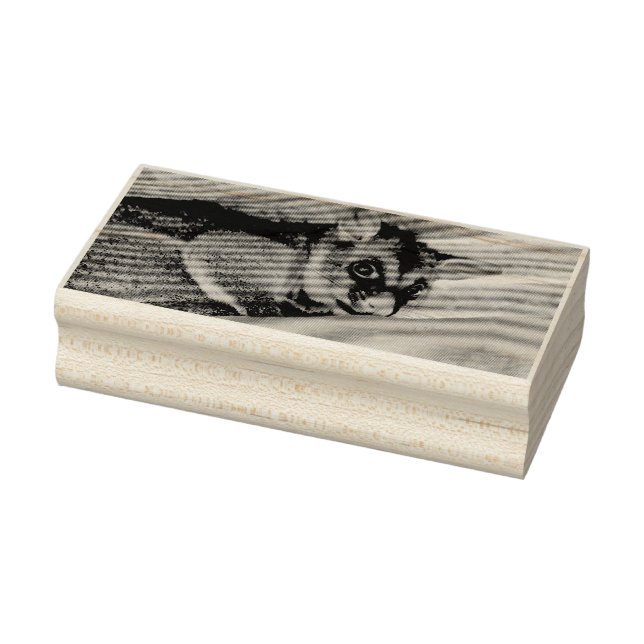 CARIMBO DE BORRACHA POSSUM QUEENSLAND AUSTRÁLIA (Carimbo)