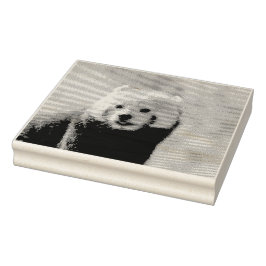 Carimbo De Borracha Red Panda