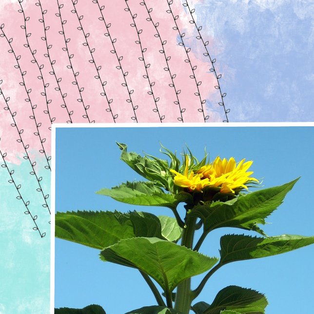 Carimbo De Borracha Salas de Subida Plantação de Arte de Madeira (Criador carregado)