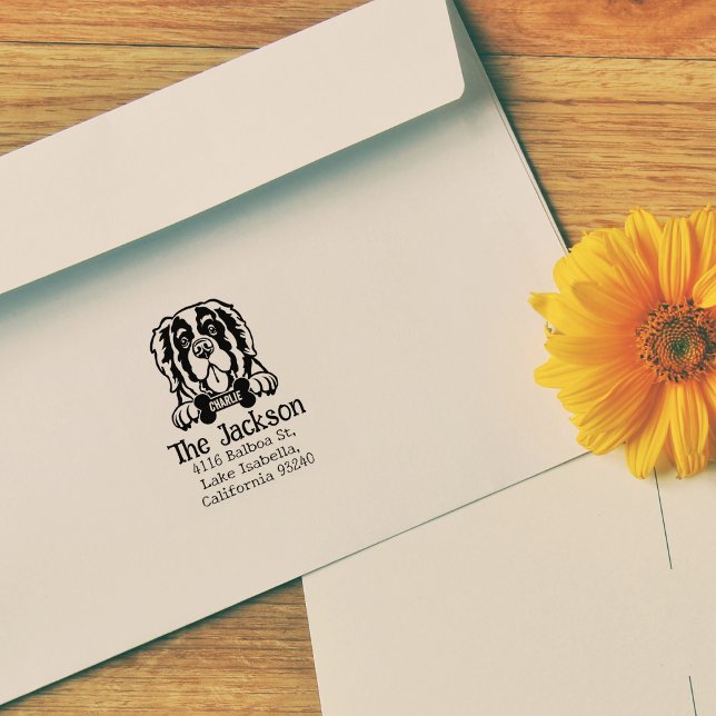 Carimbo De Borracha Santo Bernard Dog, Endereço de Regresso Personaliz (Criador carregado)