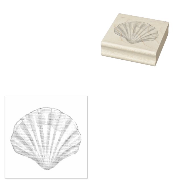 Carimbo De Borracha Seashell, Scallop Shell, Shell Rubber Stamp (Carimbado)
