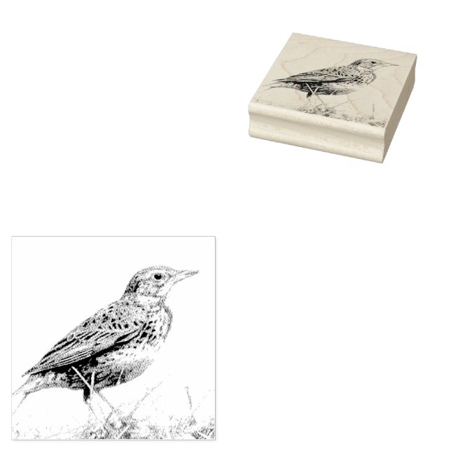 Carimbo De Borracha Selo Postal de Sturnella-militar (Carimbado)