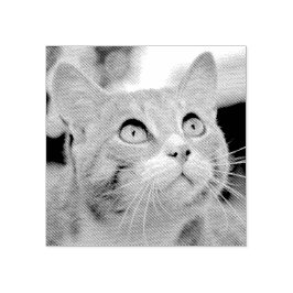 Carimbo De Borracha Seu Pet Etch | Imagem A Partir Da Foto | Personali