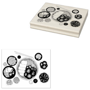 Carimbo De Borracha Shabu-Shabu Japão - Comida japonesa Hotpot