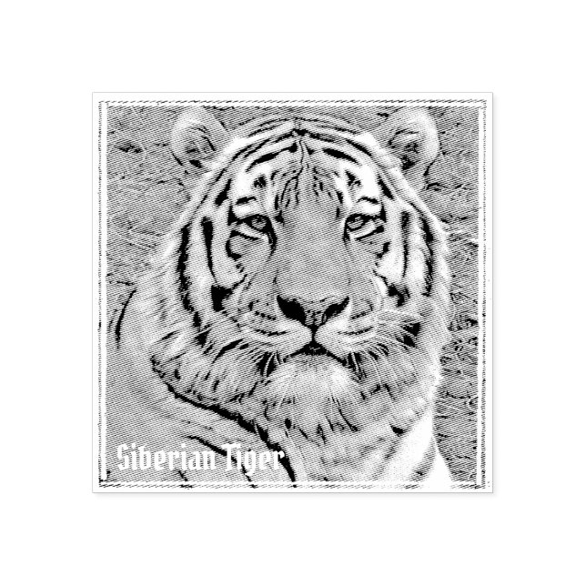 Carimbo De Borracha Siberian Tiger ラバースタンプ (Impressão)