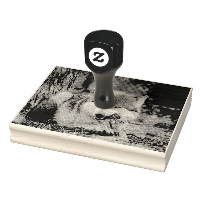 Carimbo De Borracha Temporizador de snack (Carimbo)