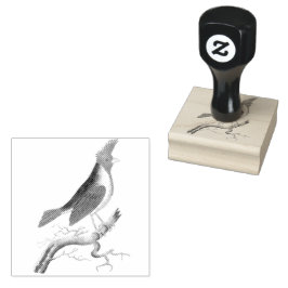 Carimbo De Borracha Vintage do Cardinal Dominicano Detido