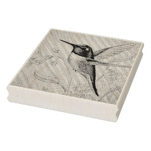 Carimbo De Borracha Vintage Hummingbird N.º 1 Arte por Aquarela