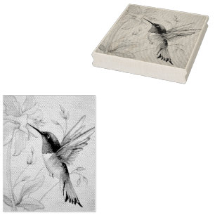 Carimbo De Borracha Vintage Hummingbird N.º 6 Arte por Aquarela