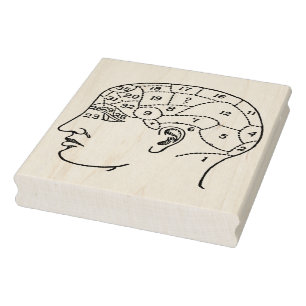 Carimbo De Borracha Vintage Phrenology Head Rubber Art Stamp