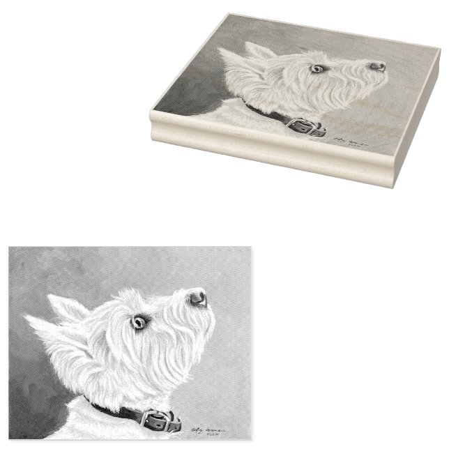 Carimbo De Borracha Westin Procurando Perfil B (Carimbado)