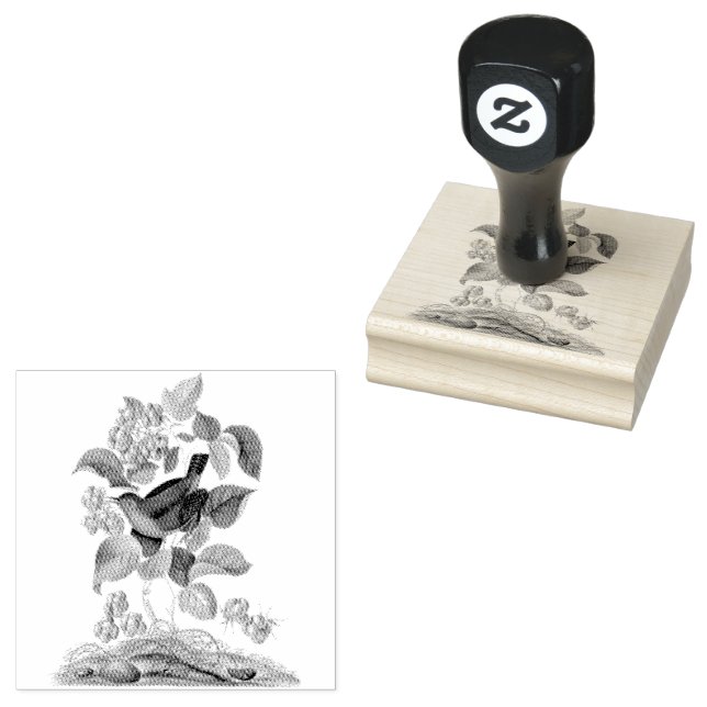 Carimbo De Borracha Wren Raspberry Vintage Scrapbooking (Carimbado)