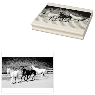 Carimbo de Três Cavalos