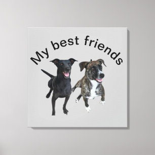 Carlos dog Canvas Print