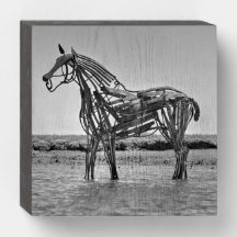 Carneiro salva-vidas em Wells Norfolk Wood Box