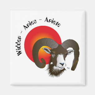 Carneiro Sternzeichen íman