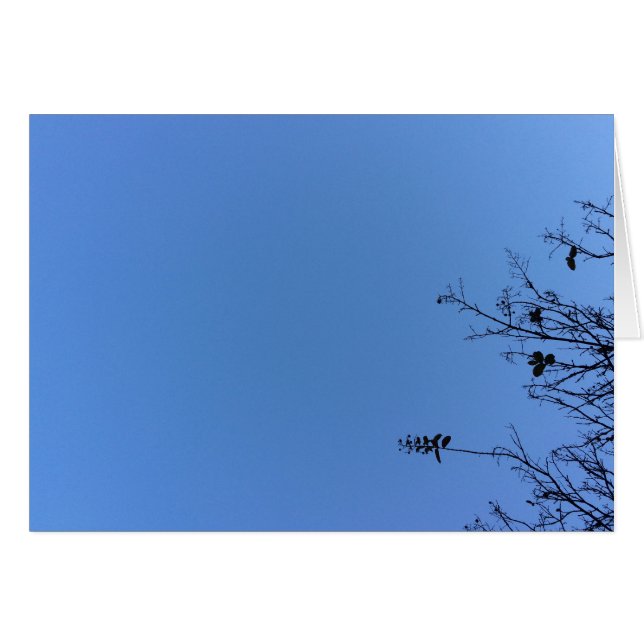 Carolina Blue, cartão (Frente Horizontal)