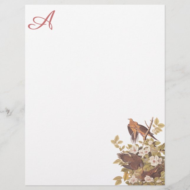 Carolina Turtle Dove Custom Letterhead (Frente)