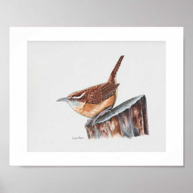 Carolina Wren Art Impressão (Frente)