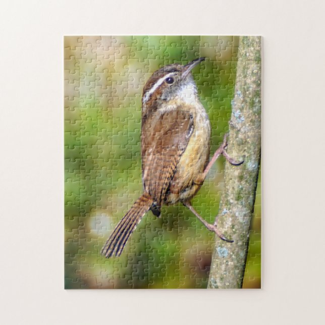 Carolina Wren Quebra-cabeça (Vertical)