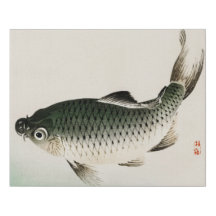 Carpa de Kōno Bairei