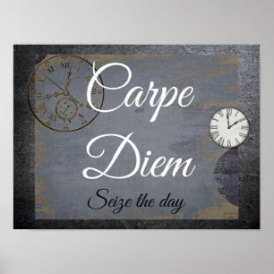 Carpe Diem **Aproveite o dia - impressão de arte