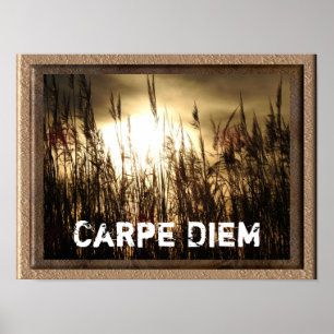 Carpe Diem - poster de arte