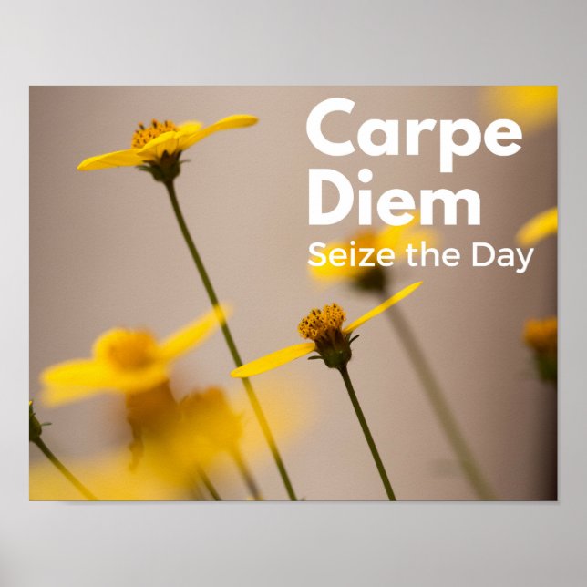 Carpe Diem Seize the Day Poster (Frente)