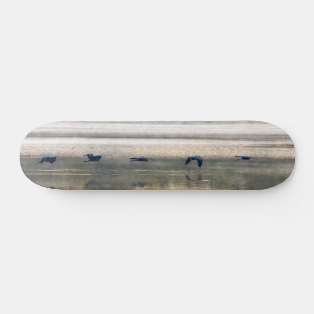 Carrana Flight Painterly Skateboard (Horz)