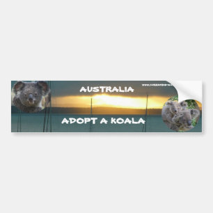 Carro Adesivo para Para-choque ADOTE UM COALA AUSTRÁLIA