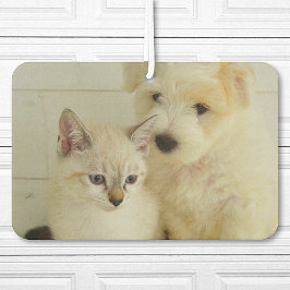 Carro de Fotografia Pet Personalizado