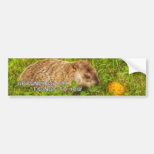 Carro Notícias do Dia da Marmota para você! Adesivo de p