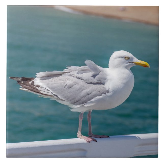 Carroçaria sobre carris, ver azulejo cerâmico (Frente)