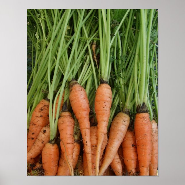 Carrots Poster (Frente)