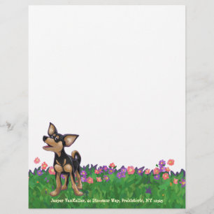 Carta Chihuahua