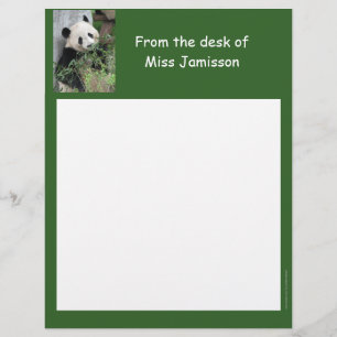 Carta de Apreciação ao Professor Cabeçalho Panda D