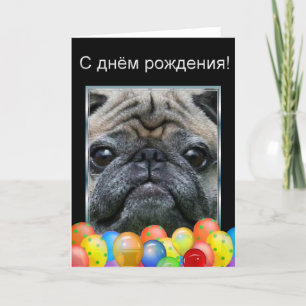 Cartão С днём рождени Happy Birthday Pug Dog  card