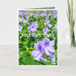 CARTÃO ホテイアオイ