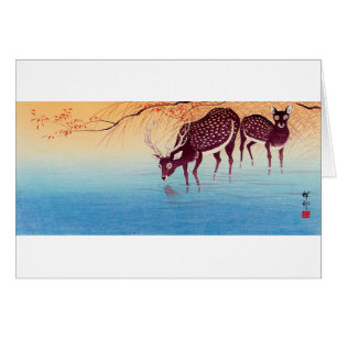 Cartão 鹿, cervo do 小原古邨, Ohara Koson, Ukiyo-e