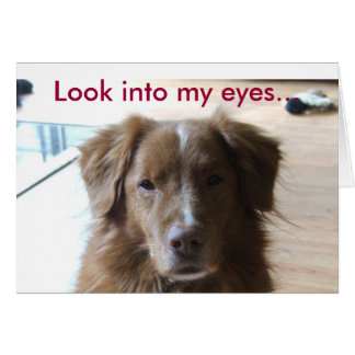 Cartão 0029, olhe nos meus olhos...