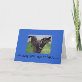 Cartão 013, contando sua idade em latidos...