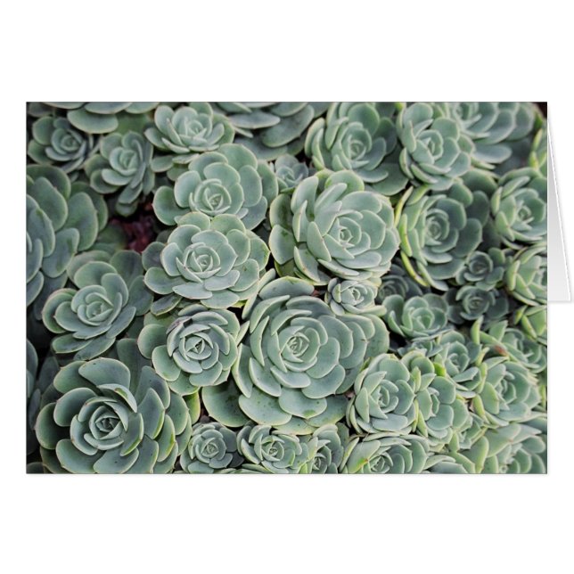 CARTÃO 01760023 (Frente horizontal)