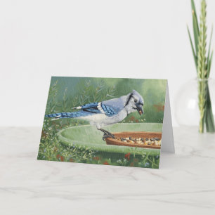 Cartão 0481 Blue Jay at Feeder Sympathy Card
