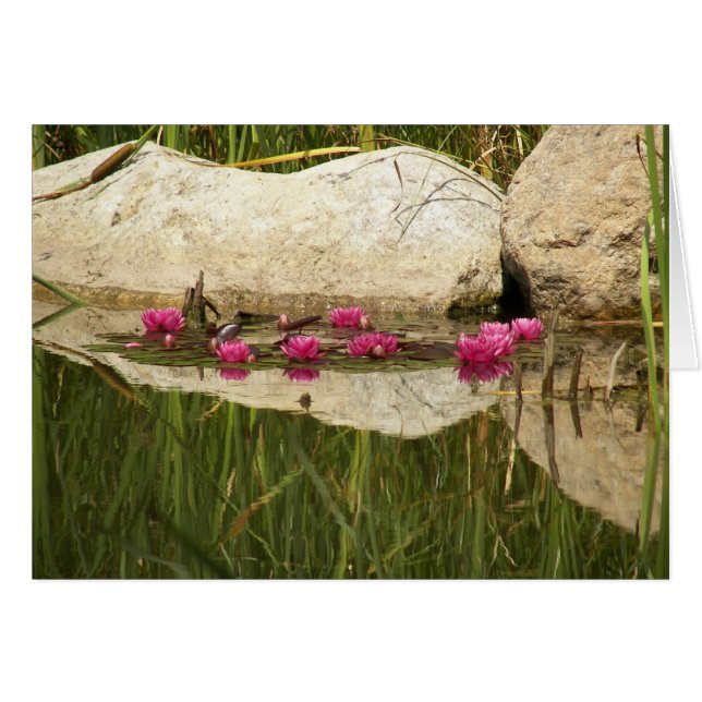 CARTÃO 100_0088 (Frente Horizontal)