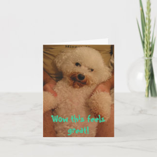 Cartão 110-1042_IMG, Uau, isso parece excelente!