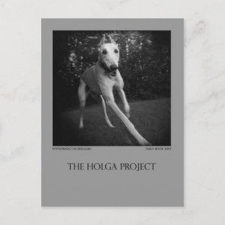 Cartão 11 do parque do cão