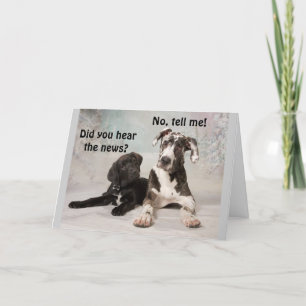 Cartão **12 ANIVERSÁRIO** DESEJA A Placa "VOCÊ"