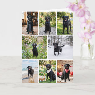 Cartão 12 Colagem de Fotos Personalizadas