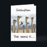 CARTÃO **13** VOCÊ AGORA É ADOLESCENTE **GRANDSON**<br><div class="desc">FELIZ ANIVERSÁRIO ***GRANDSON*** OBRIGADOS PARA PARAR POR UMA DAS MINHAS OITO LOJAS!</div>