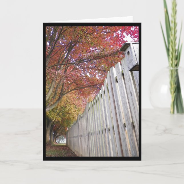 Cartão ~ 14 do outono (Frente)